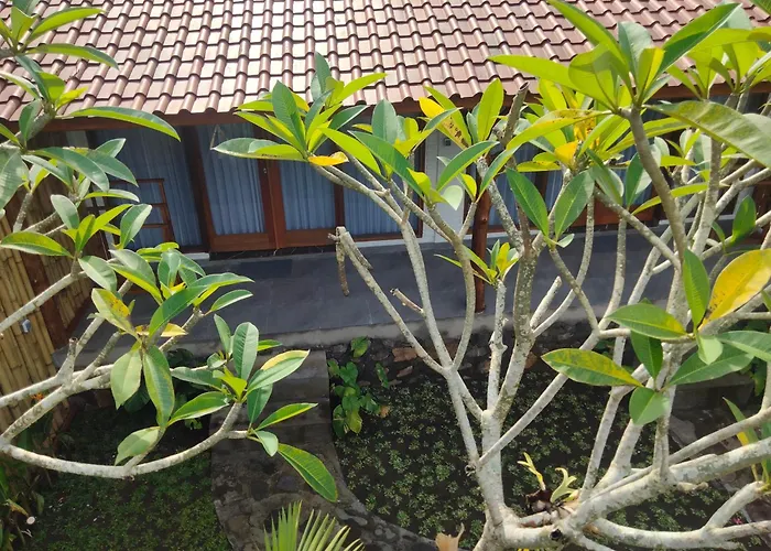 Meera House And